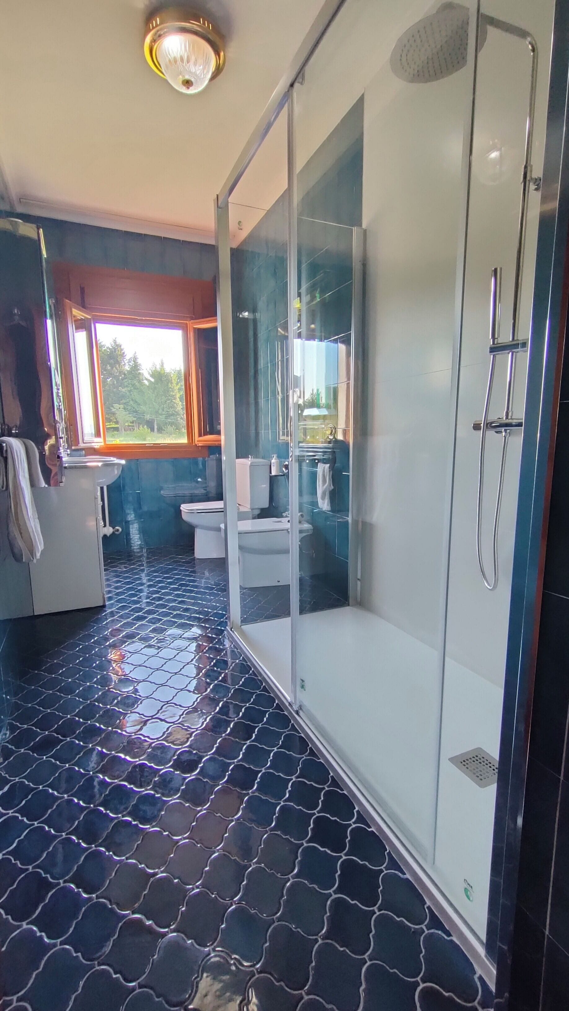 Un baño con ducha separada por vidrio, inodoro y lavamanos.