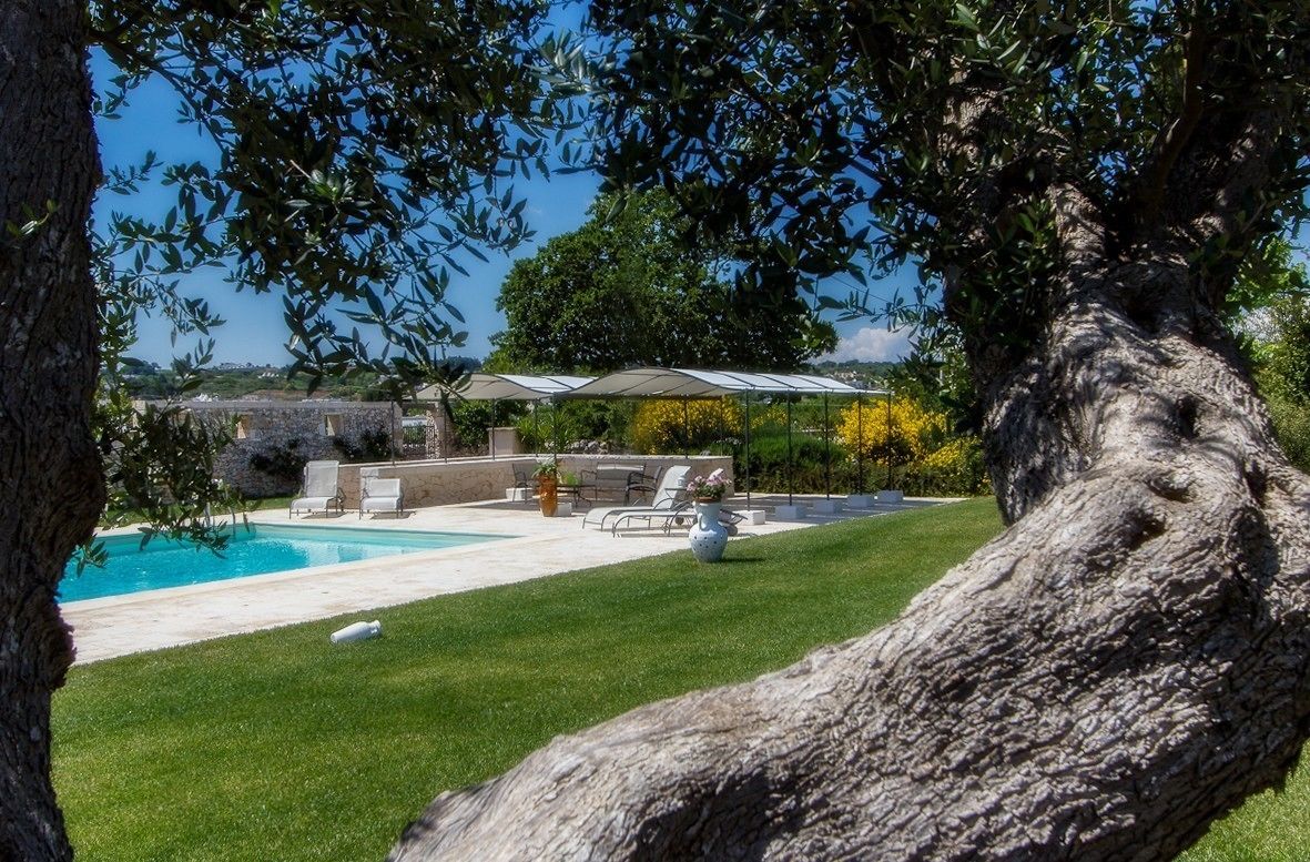 Ein Poolbereich mit einem klaren, blauen Pool, umgeben von einem gepflegten Rasen und einem großen Baum.