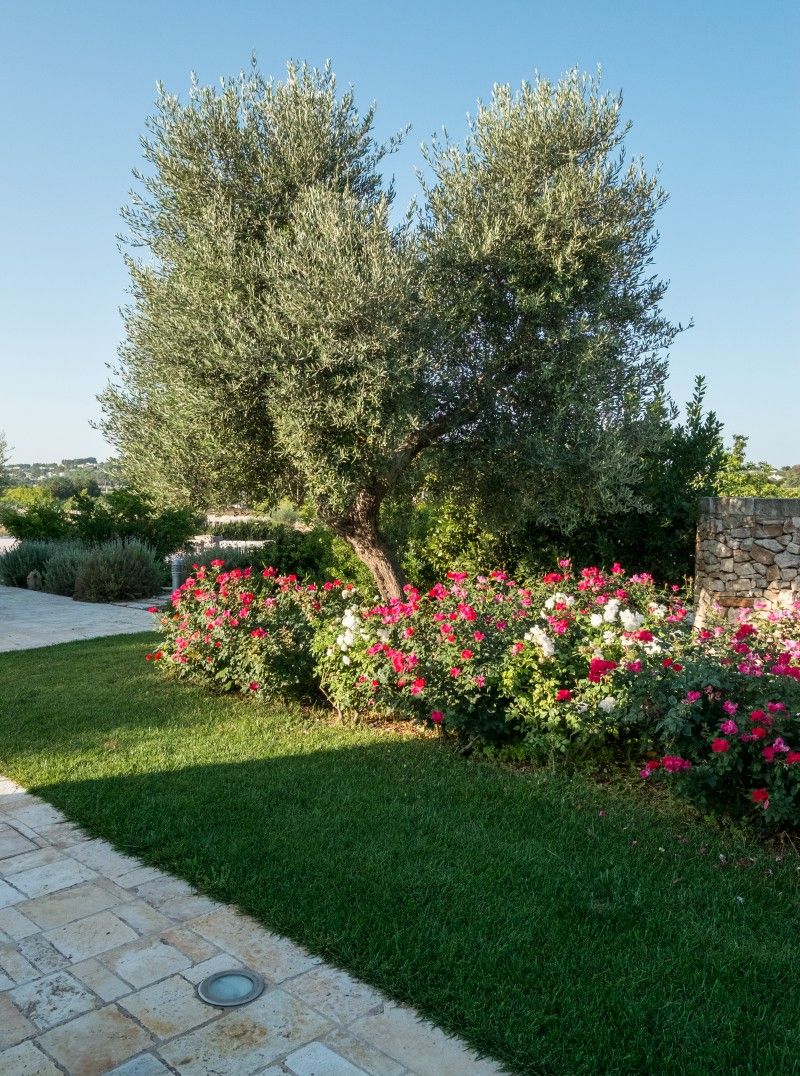 Um jardim com muro de pedra, um caminho e uma árvore de folhagem densa.