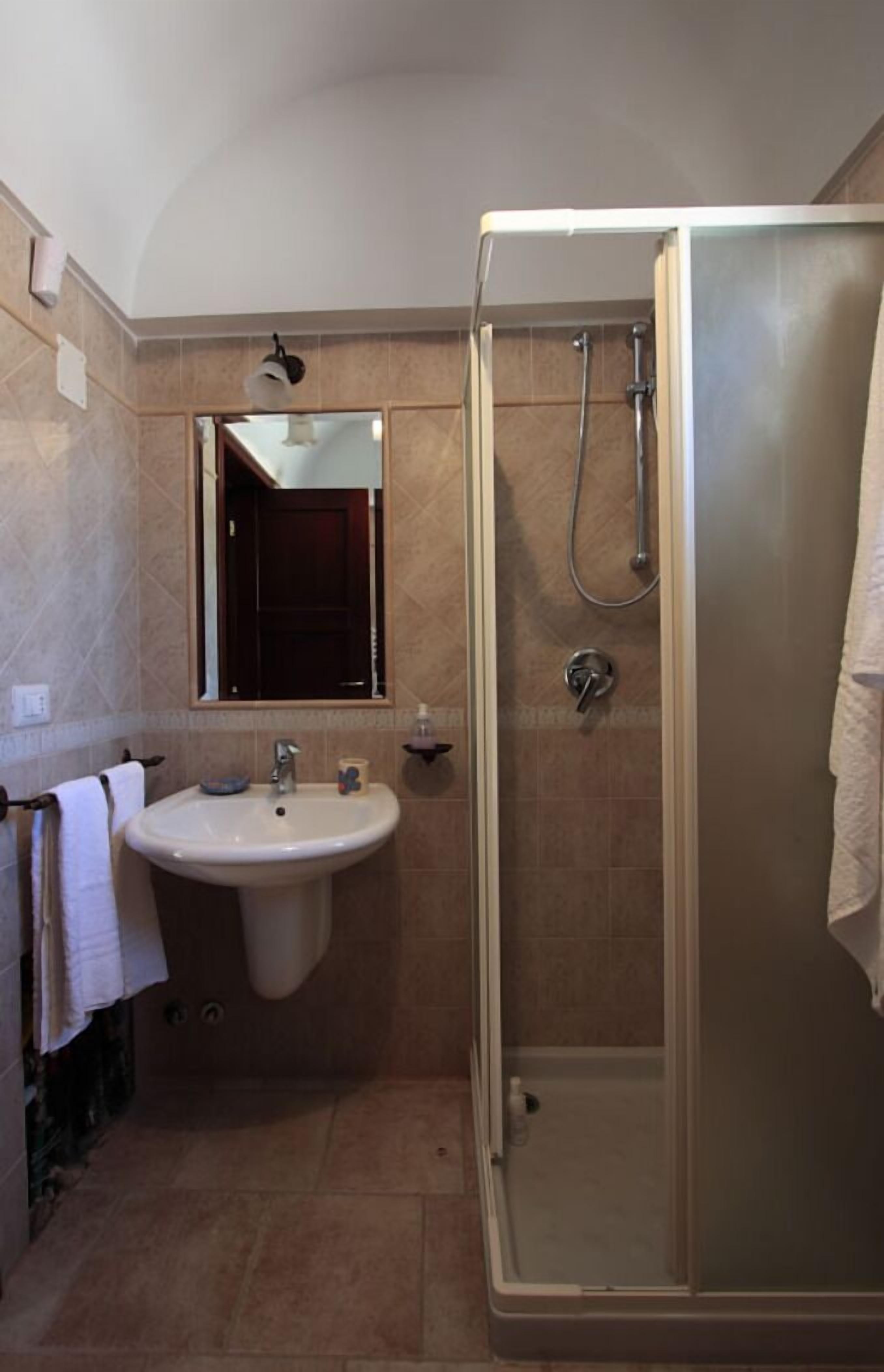 Een badkamer met een wastafel, spiegel en douche.