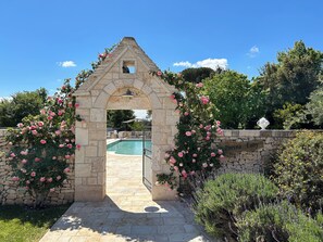 季节性开放的室外游泳池，10:00 至 19:00 开放，日光浴躺椅