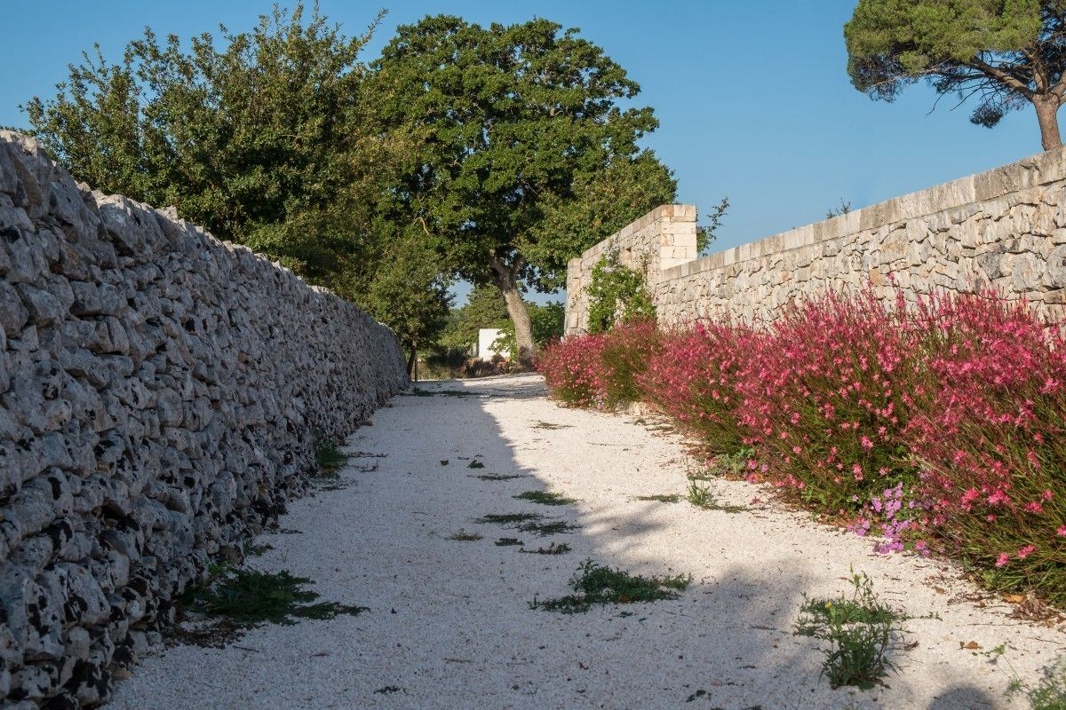 A gravel path flanked by stone walls and flowering plants.