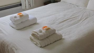 Single Room (Room 4) | Desk, iron/ironing board, free WiFi