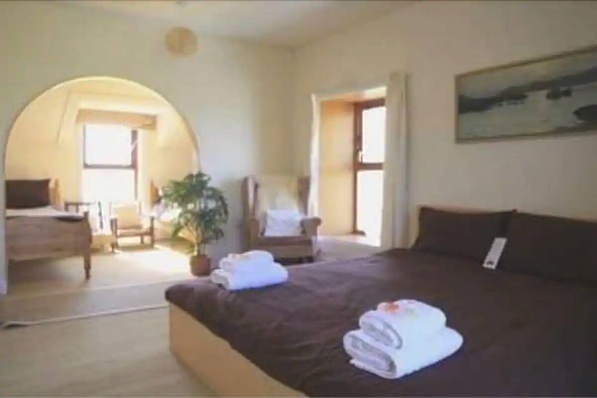A hotel room with a large bed, a chair, a desk, and a potted plant.