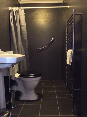Shower, free toiletries, hair dryer, towels