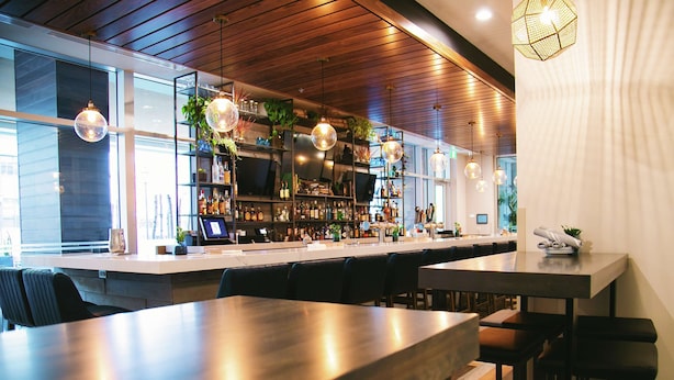 Zona de bar moderna con techo de madera, luces esféricas colgantes y una barra con diferentes botellas y plantas.
