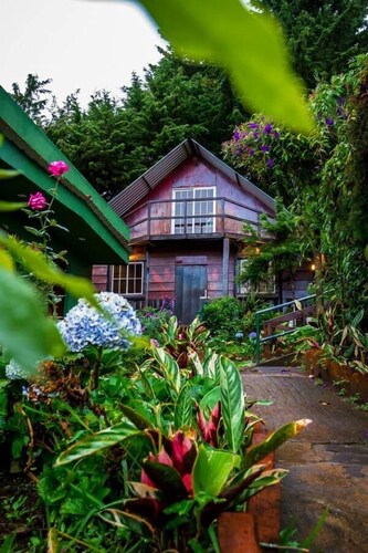 Paso Del Alaska Resort