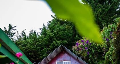 Paso Del Alaska Resort