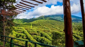 Exterior - Paso Del Alaska Resort (Juayua)