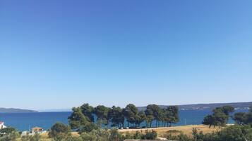 A coastal view with a clear sky, a sandy beach, and a row of trees.