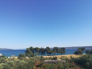 Blick auf die Küste mit blauem Himmel, Sandstrand und einer Baumreihe.