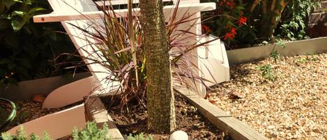 Un jardín con una palmera, jardineras de madera y diferentes arbustos.