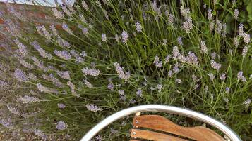 Une table et des chaises en bois, disposées à l’extérieur, avec en arrière-plan des plants de lavande.