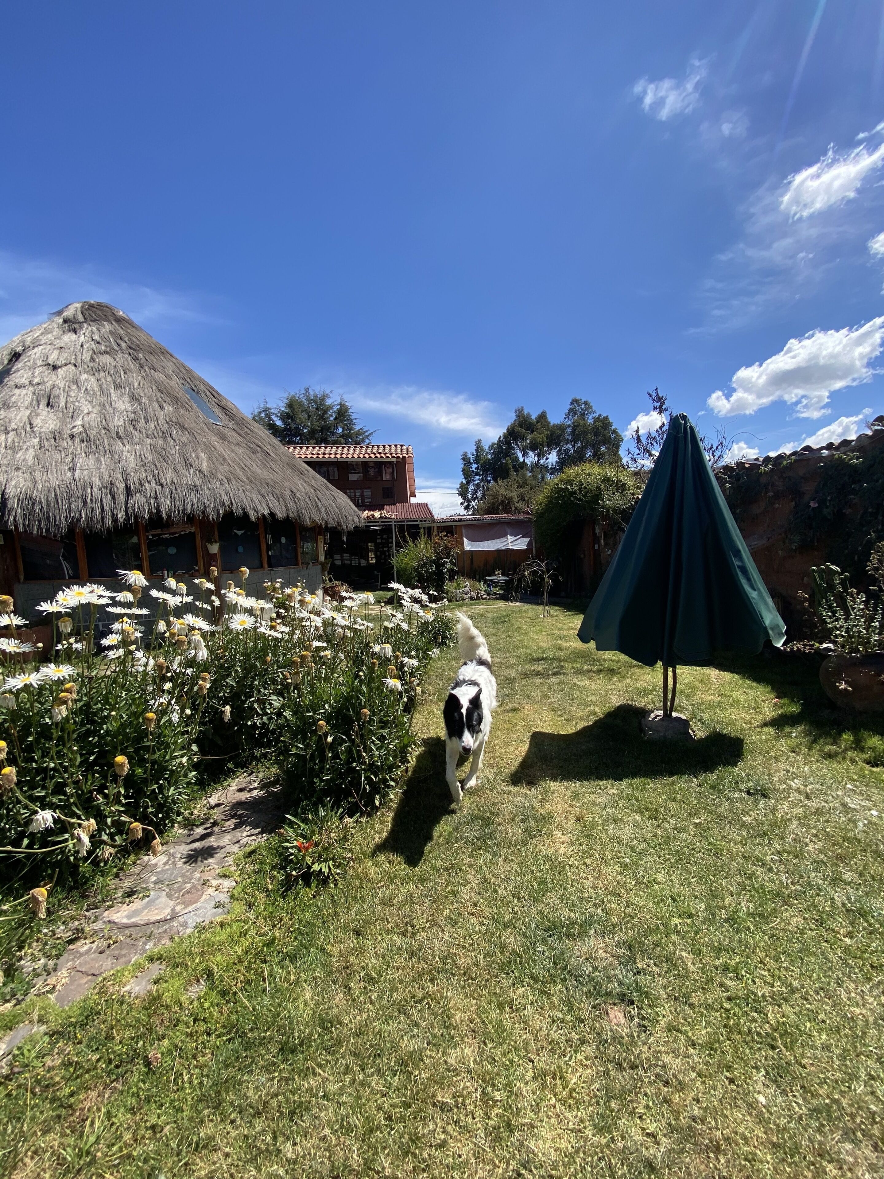 Foto - Casa de la Gringa Mountain House