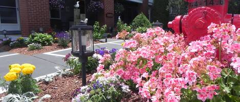 Enceinte de l’hébergement