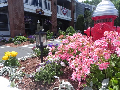 Elmwood Resort Hotel