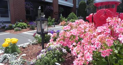 Elmwood Resort Hotel