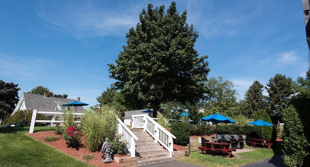 Un espace patio avec des sièges d’extérieur, un escalier et un grand arbre.