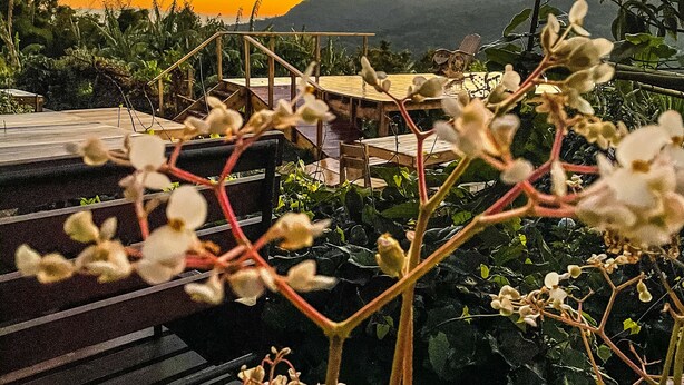 Un jardin doté d’une terrasse en bois et d’un escalier menant à un espace aménagé pour s’asseoir.