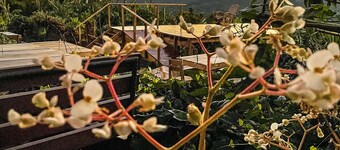 Casa 1800 Ataco Boutique Hotel