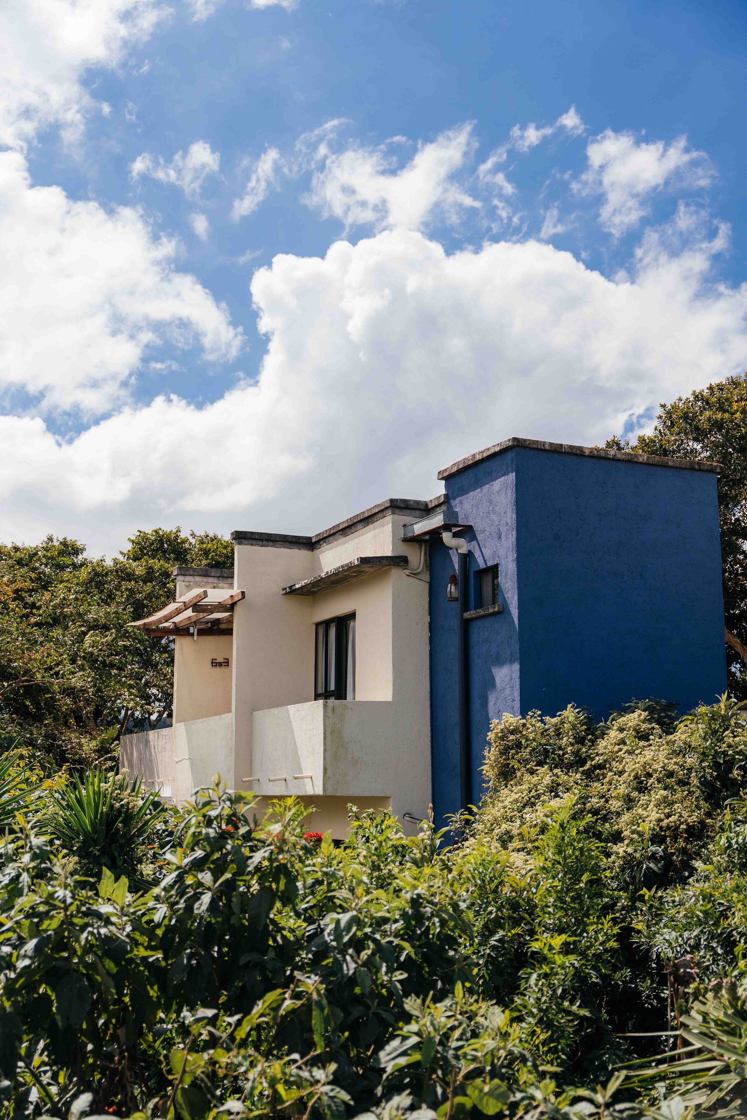 Un edificio de dos pisos con fachada azul y beige, rodeado de exuberante vegetación.