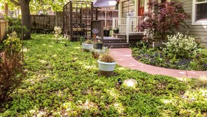 A well-maintained garden with a variety of plants and a wooden fence. - Palm Cottages (Ashland)