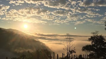 Vista da propriedade