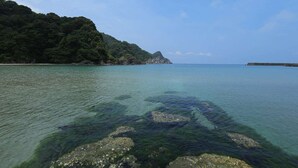 Escena costera con agua cristalina, costa rocosa y una colina boscosa.