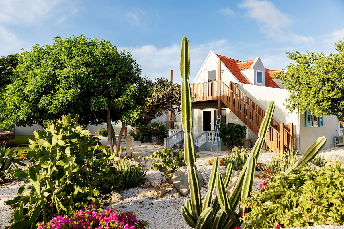 Aruba Boutique Apartments