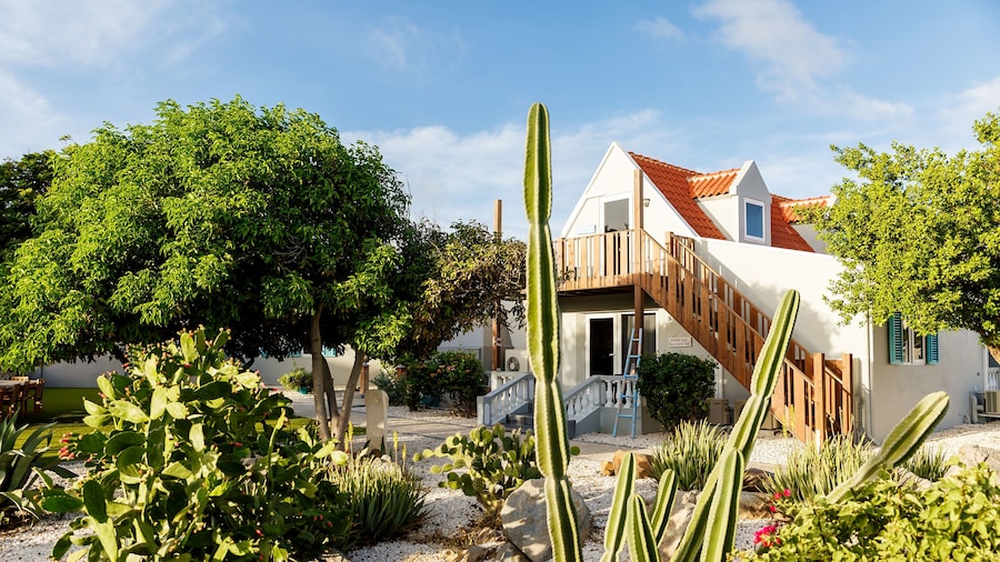 Aruba Boutique Apartments Adults Only