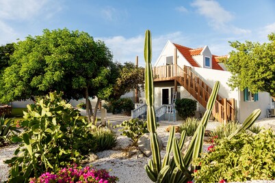 Aruba Boutique Apartments Adults Only