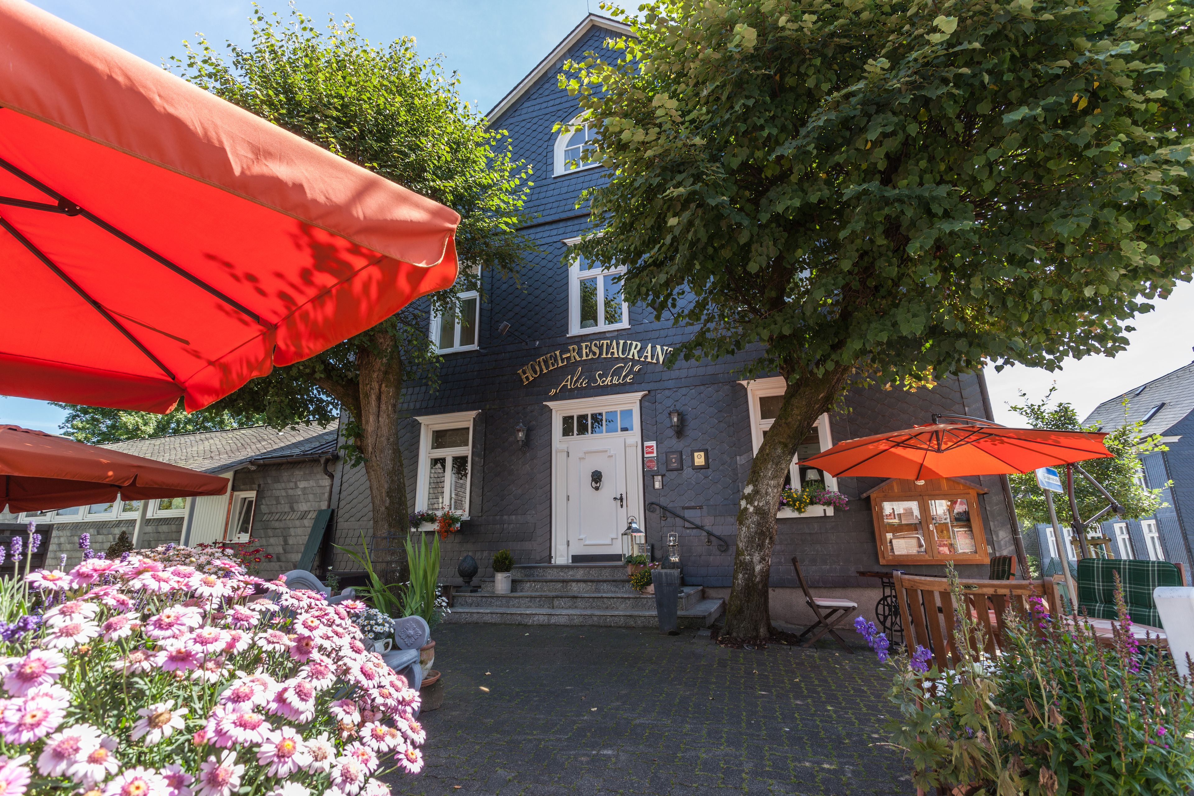 A hotel entrance with a blue facade, a white door, and a sign reading "HOTEL-RESTAURANT." There are red umbrellas and a flower bed with pink flowers in the foreground.