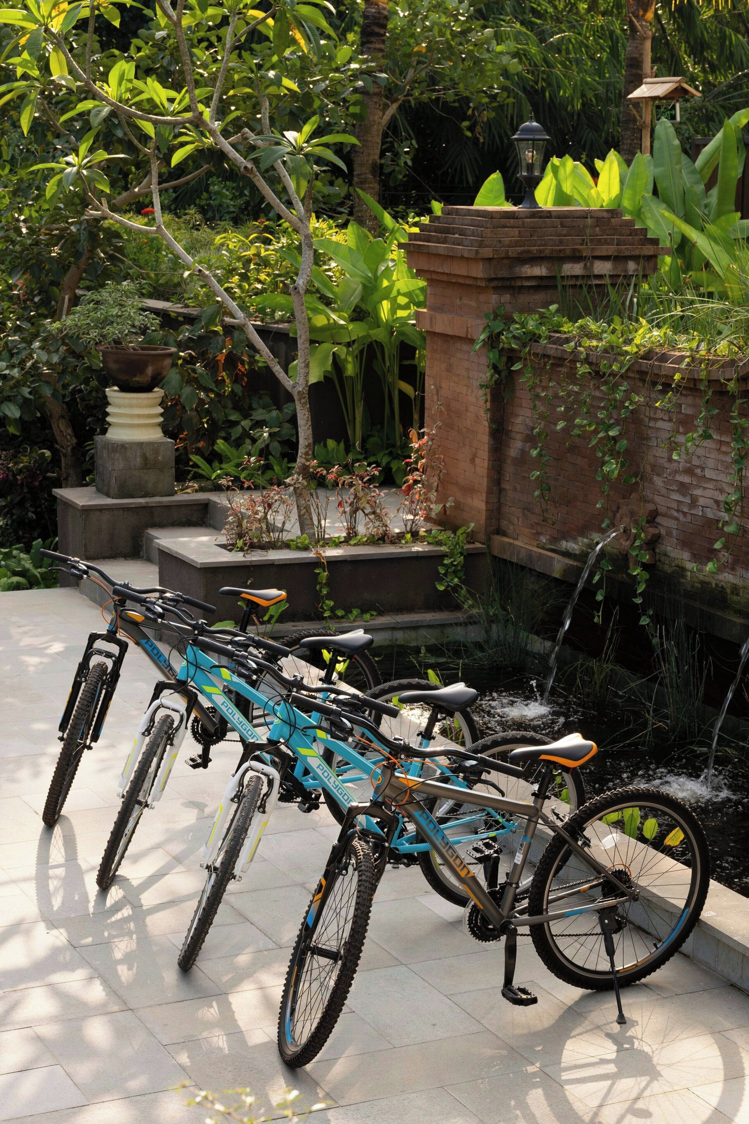 Photo - Element Bali Ubud