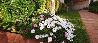 Artistica Suite - La Colline