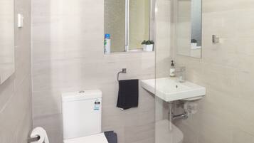 Hair dryer, towels, soap, shampoo