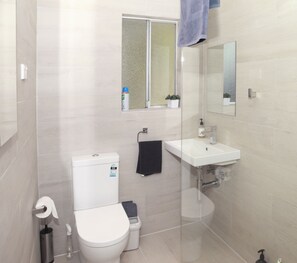 Hair dryer, towels, soap, shampoo - Careel Cottages Back Cottage is close to town and has FREE NETFLIX (Katoomba)
