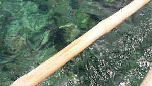A wooden railing over clear water with visible underwater vegetation. - Peace & Love Beach Club (Roxas)