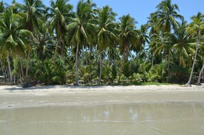 Private beach, sun-loungers, beach umbrellas, beach towels - Peace & Love Beach Club (Roxas)