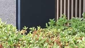 A directional sign for hotel parking. - Hotel Ascent Plaza Hamamatsu (Hamamatsu)
