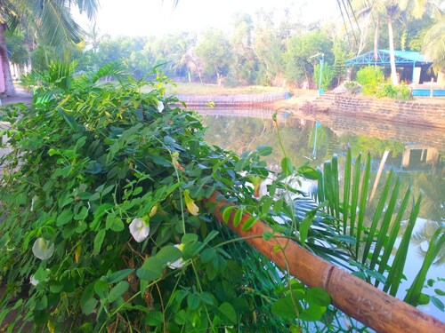 Daaven's Island Resort