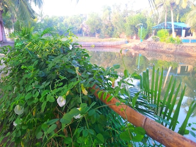 Daaven's Island Resort