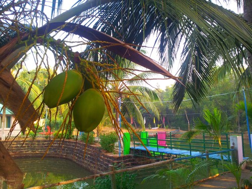 Daaven's Island Resort