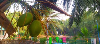 Daaven's Island Resort