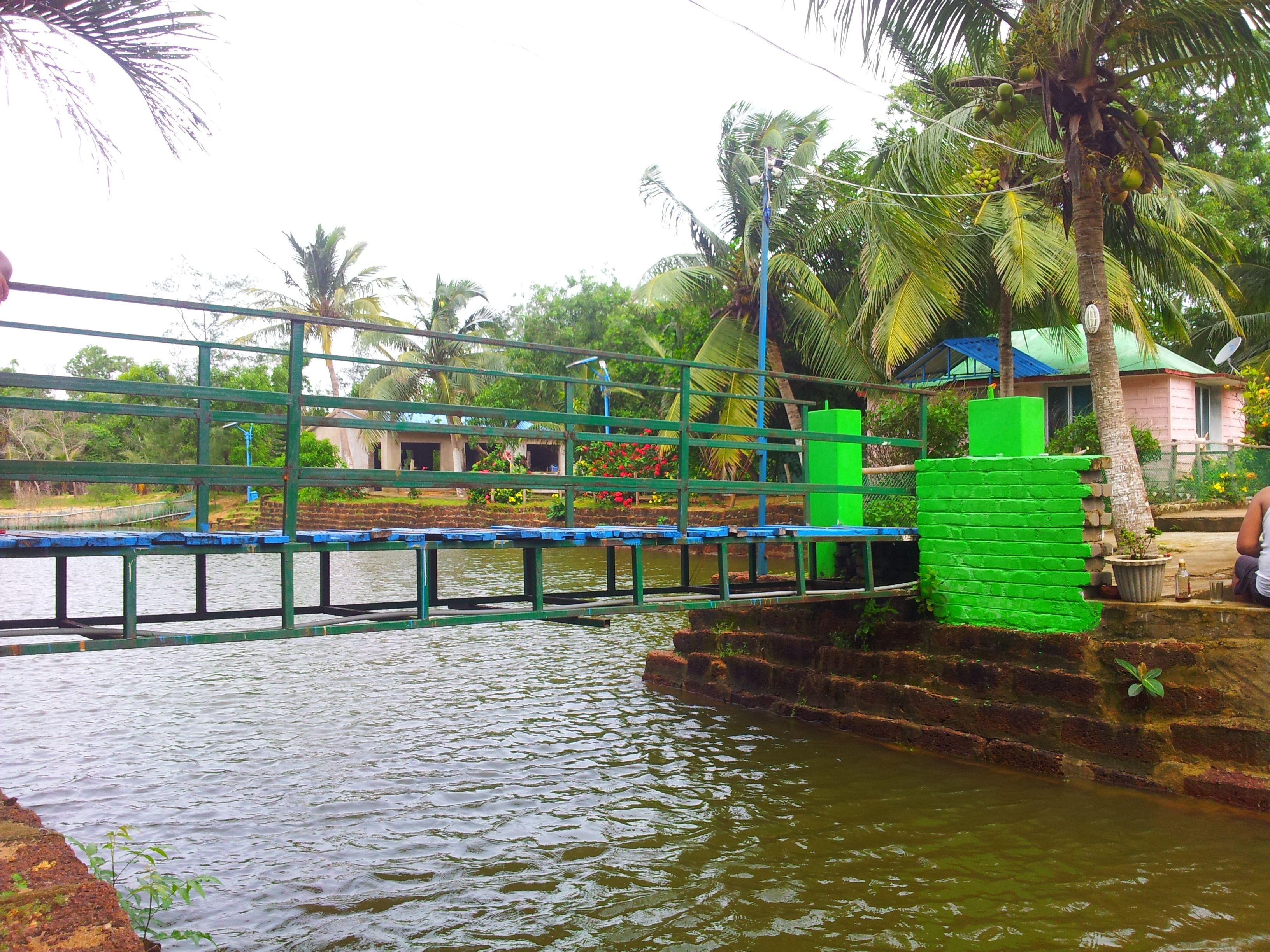 Piscine couverte, piscine naturelle