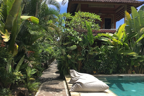Outdoor pool, pool loungers