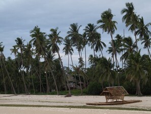 Beach - Alma's Guesthouse (Panglao)