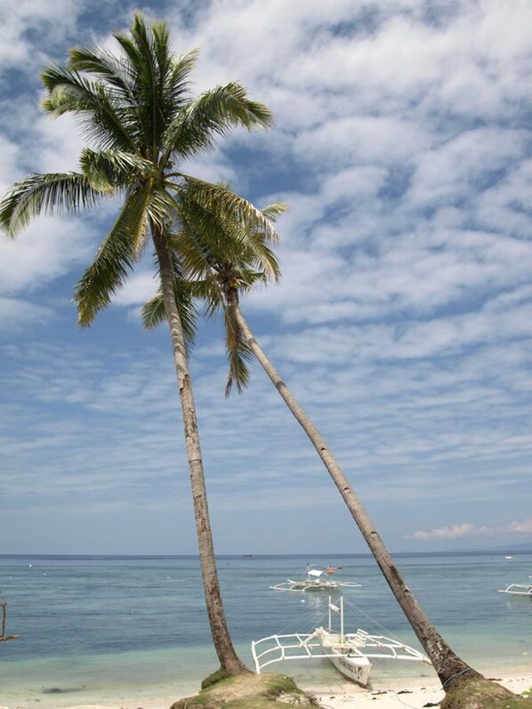 Beach - Alma's Guesthouse (Panglao)