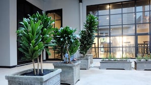 A courtyard with potted plants and a large window. - Livinn Hostel City Center Surabaya (Surabaya)