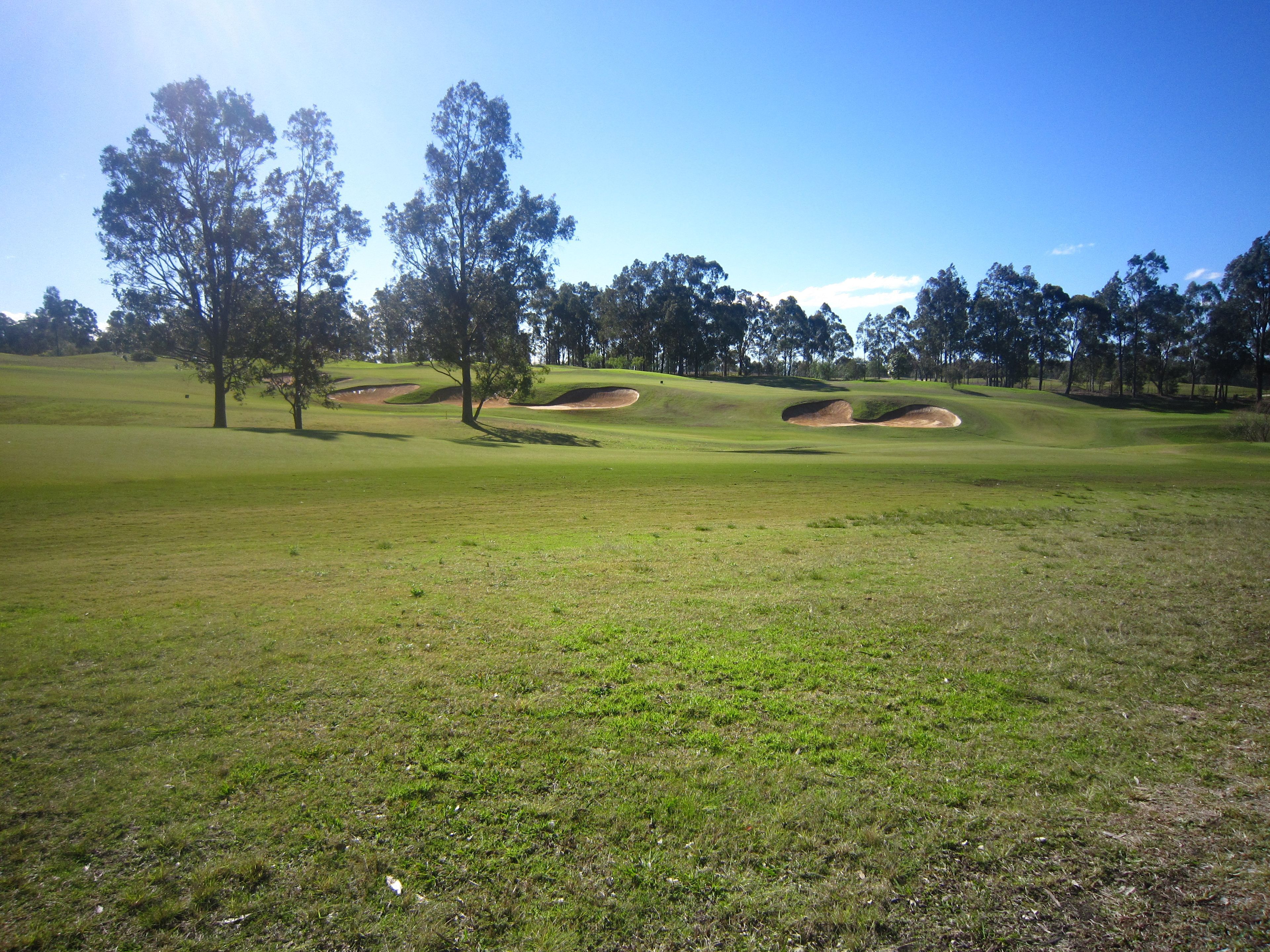 A golf course with sand bunkers, trees, and a clear sky.