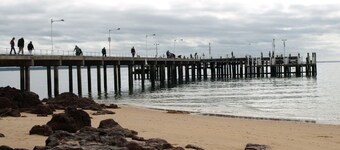 Banyanda beachside home (pet friendly) Whale watching, Penguins, koalas swimming